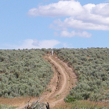Laurel starts up the road, sagebrush tract on Naches-Wenas Road, Yakima County, Washington