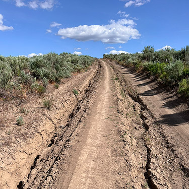 rough dirt road, sagebrush tract on Naches-Wenas Road, Yakima County, Washington