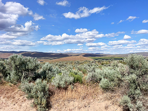 Laurel's view of sagebrush tract on Naches-Wenas Road, Yakima County, Washington