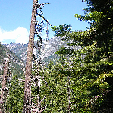first glimpse of Chiwawa Ridge from Twin Lakes Trail, Napeequa River area, Chelan County, Washington