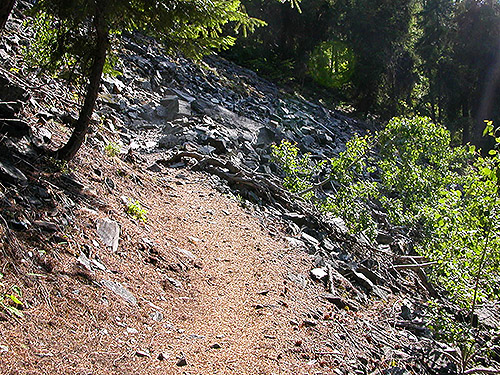 Boulder talus along Twin Lakes Trail, Napeequa River area, Chelan County, Washington