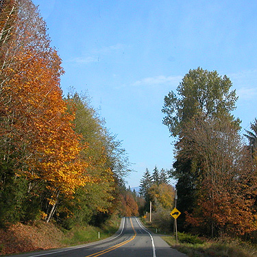 fall colors on the road from Interstate 5 to Maple Falls, Whatcom County, Washington