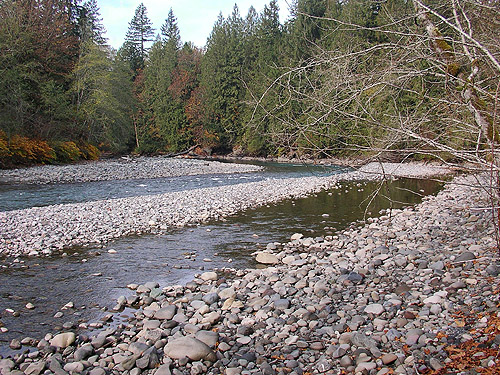 Nooksack River 1 mile E of Maple Falls, Whatcom County, Washington