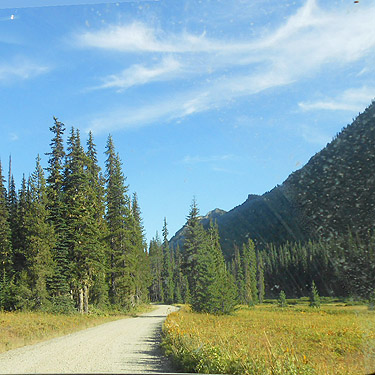 scenery along Forest Road 4330, Kittitas County, Washington