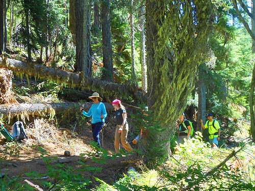 hikers passing meadow on way to Hyas Lake, Kittitas County, Washington