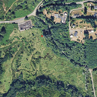 2024 aerial photo of Skidmore Slough near South Bend, Washington