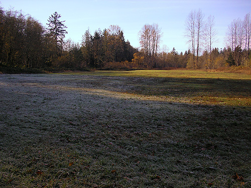 frosty grass field, Whitehorse Trail 3 miles E of Oso, Snohomish County, Washington