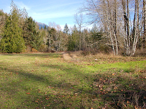end of large grass field, Whitehorse Trail 3 miles E of Oso, Snohomish County, Washington