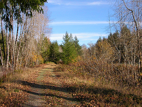 Whitehorse Trail 3 miles E of Oso, Snohomish County, Washington