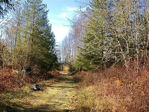 Whitehorse Trail 3 miles E of Oso, Snohomish County, Washington