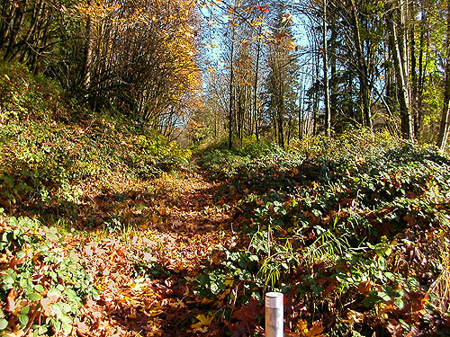 Whitehorse Trail between Cicero and Ramstad Road, Snohomish County, Washington