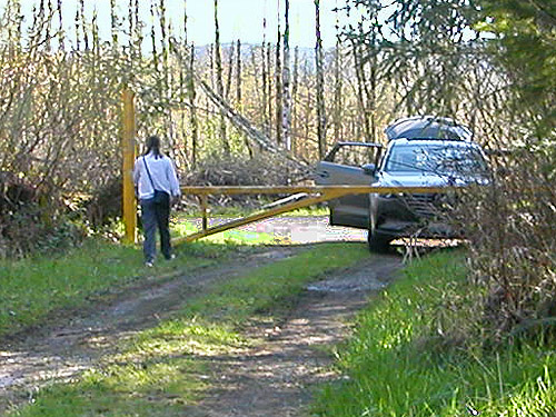 gate at start of Skykomish Resources track off Evans Road, south Lewis County, Washington