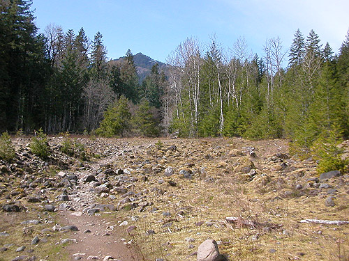 trail through old stream cobbles, Skate Creek Park near Packwood, Washington