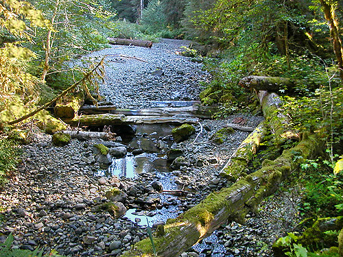 Palmer Creek, eastern Snohomish County, Washington