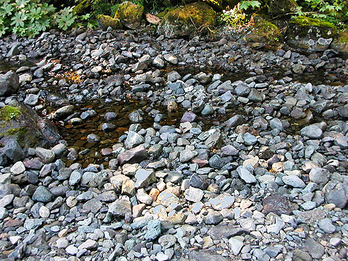 gravel bar of Palmer Creek, east central Snohomish County, Washington