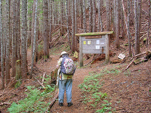 true trailhead of trail to Peek-a-Boo Lake, Snohomish County, Washington