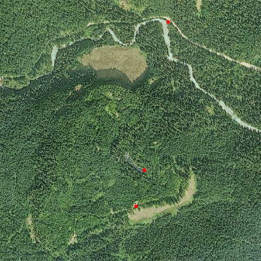 Pinus Lake area, Whatcom County, Washington, NAIP aerial photo