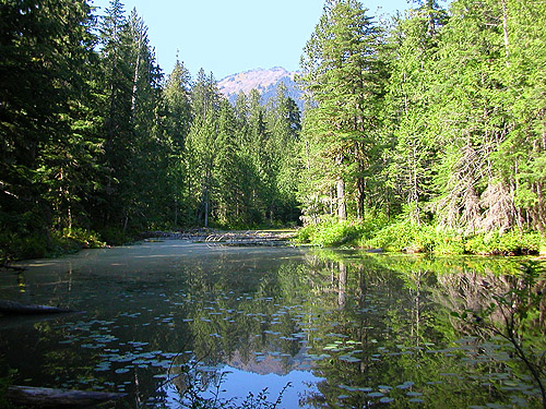 Pinus Lake, Whatcom County, Washington