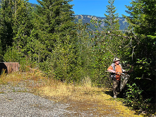 Rod Crawford beating tree foliage at summit near Pinus Lake, Whatcom County, Washington