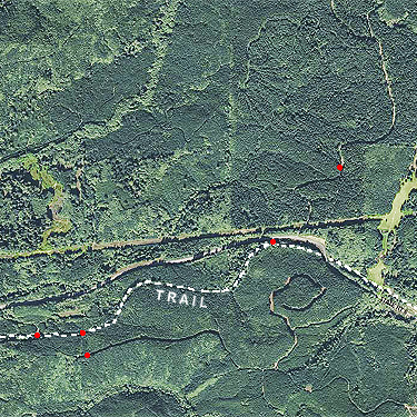 spider collecting sites 2022 aerial photo, Pluvius, Pacific County, Washington