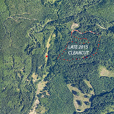 Area of Porter Creek Meadow, up creek from Porter, Grays Harbor County, Washington