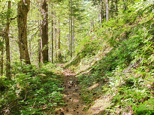 Quartz Creek Trail, SE Snohomish County, Washington