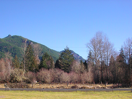 habitats on the private side of the road, Rainey Valley Cemetery, Lewis County, Washington