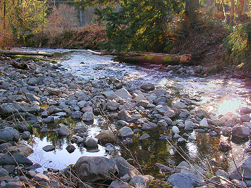 cobble bar and rapids, Kiona Creek at Bowen Road, Lewis County, Washington