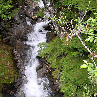 North Fork in a semi-waterfall, upper Rapid River, Snohomish County, Washington