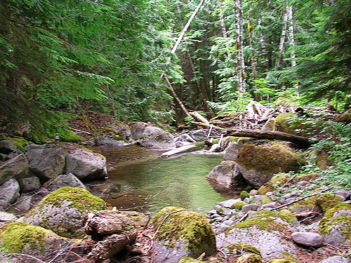 pool in North Fork, upper Rapid River, Snohomish County, Washington