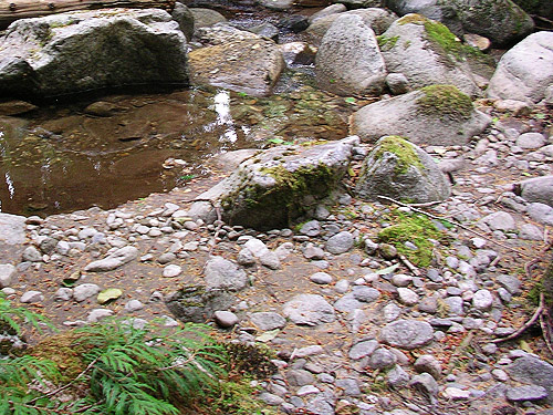 rocks beside North Fork Rapid River, upper Rapid River, Snohomish County, Washington