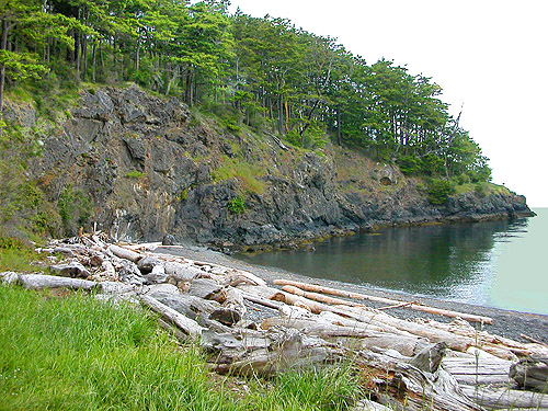 beach with driftwood, Reuben Tarte County Park, San Juan Island, Washington