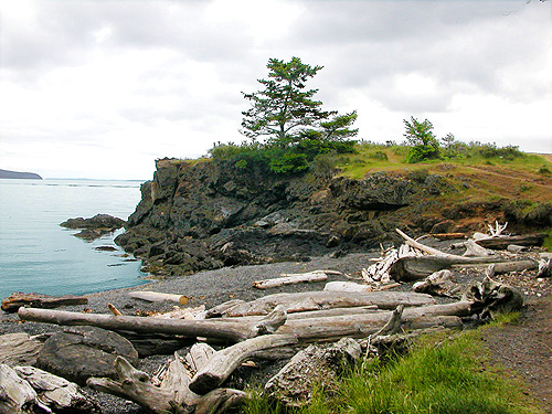 beach and headland, Reuben Tarte County Park, San Juan Island, Washington