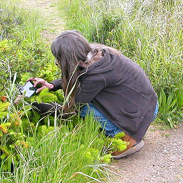 Cyndi Brast photographing an insect, Reuben Tarte County Park, San Juan Island, Washington