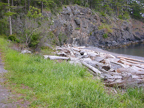 grass and driftwood habitats, Reuben Tarte County Park, San Juan Island, Washington