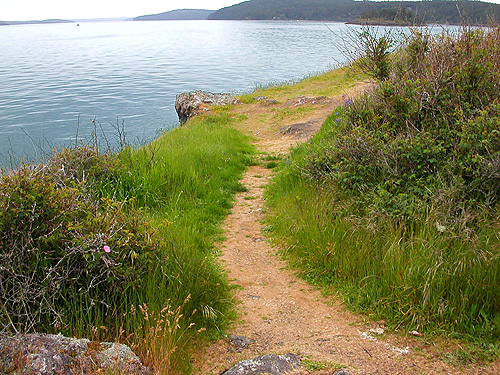 trail on the headland, Reuben Tarte County Park, San Juan Island, Washington