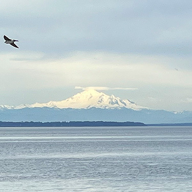 Mount Baker from Lily Point Park, Point Roberts, Washington