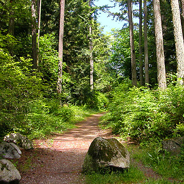 first trail, Baker Field Park, Point Roberts, Washington
