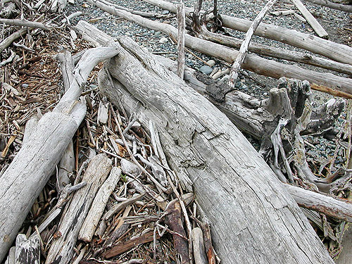 driftwood on beach, Lily Point Park, Point Roberts, Washington