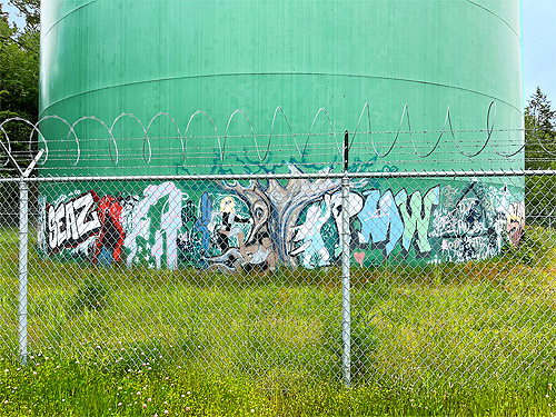 fence and water tower, Baker Field Park, Point Roberts, Washington