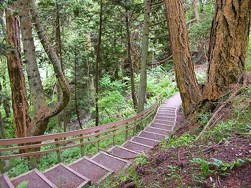 stairs along trail to beach, Lily Point Park, Point Roberts, Washington