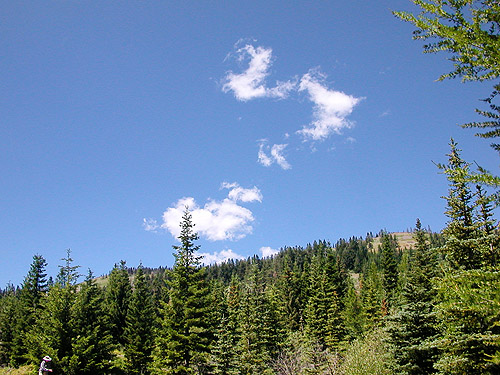Bald Mountain above head of Righthand Fork Rock Creek, Kittitas County, Washington