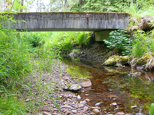 bridge over Roundtop Creek, northern Lewis County, Washington