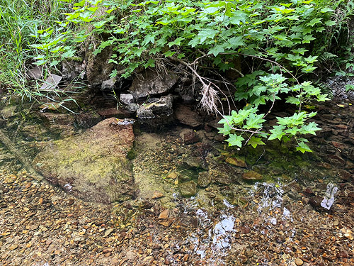 clear water of Roundtop Creek at SR 550 bridge, Lewis County, Washington