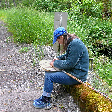 Kathy Whaley sorting sweep sample, Roundtop Creek, northern Lewis County, Washington