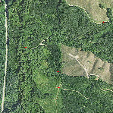2021 aerial view of Roundtop Creek, Lewis County, Washington field area