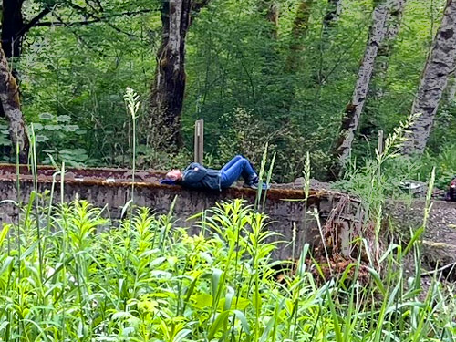 Kathy Whaley dozes on bridge, Roundtop Creek at SR 550 bridge, Lewis County, Washington