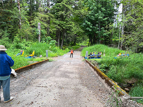 rail cycles cross, Roundtop Creek at SR 550 bridge, Lewis County, Washington