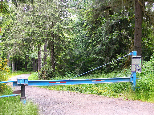 Sierra Pacific gate, near Roundtop Creek, northern Lewis County, Washington