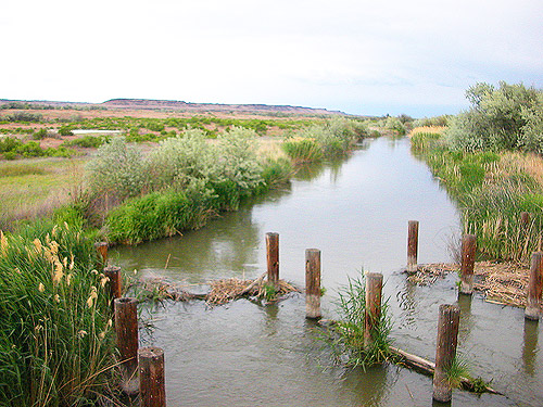 creek from Lower Crab creek bridge, SW Grant County, Washington